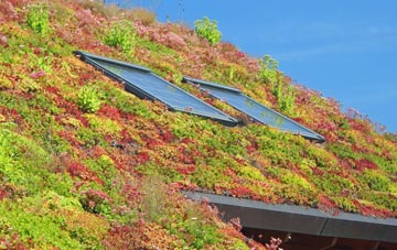 Graig Fechan living roof systems